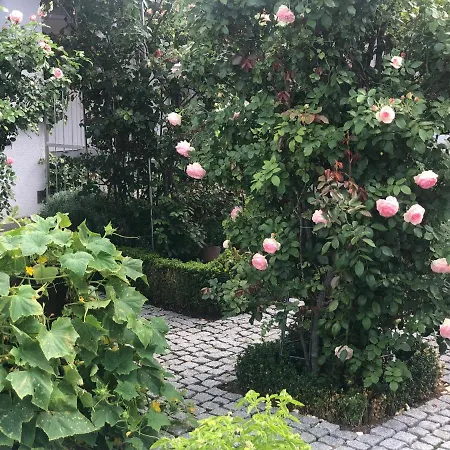 Am Bodensee - Ruhe,natur Und Golfgenuss Lochau