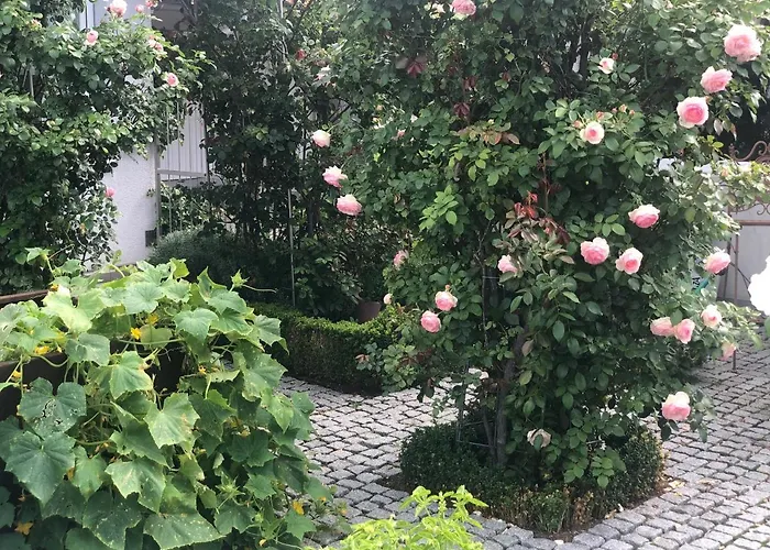 Am Bodensee - Ruhe,natur Und Golfgenuss Lochau